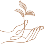 Hand holding a sprouting plant